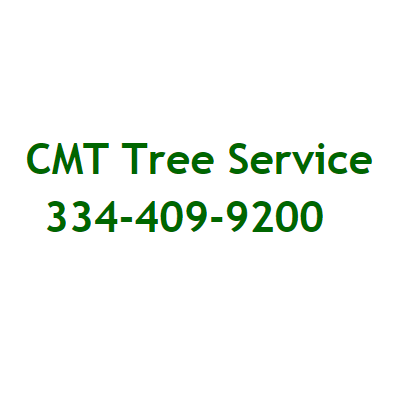 CMT Tree Service