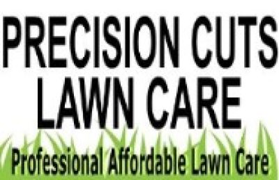 Precision Cuts Lawn Care
