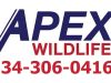 Apex Wildlife