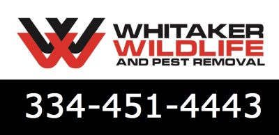 Whitaker Pest & Animal Removal Services Montgomery
