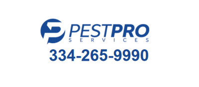 Pest Pro Services