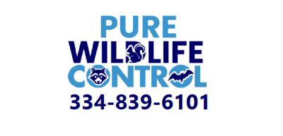 Pure Wildlife Control