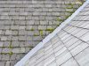Roof Cleaning Montgomery, AL | Roof Washing Montgomery, AL