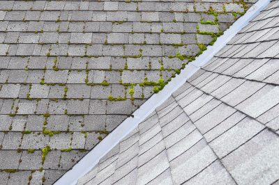 Roof Cleaning Montgomery, AL | Roof Washing Montgomery, AL